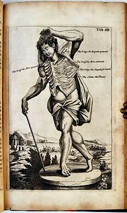 MYOGRAPHIA NOVA: OR, A GRAPHICAL DESCRIPTION OF ALL THE MUSCLES IN THE HUMANE BODY, AS THEY ARISE IN DISSECTION: DISTRIBUTED INTO SIX LECTURES.. - Image 3