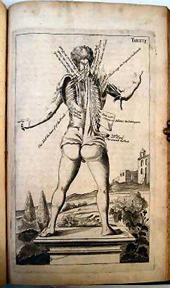 MYOGRAPHIA NOVA: OR, A GRAPHICAL DESCRIPTION OF ALL THE MUSCLES IN THE HUMANE BODY, AS THEY ARISE IN DISSECTION: DISTRIBUTED INTO SIX LECTURES.. - Image 7