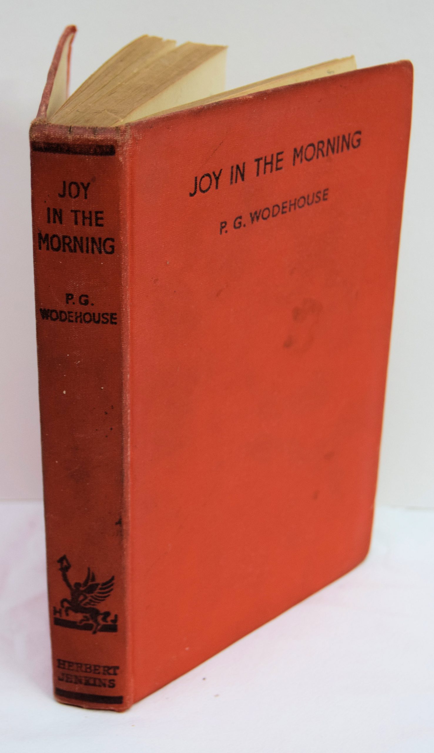 JOY IN THE MORNING.