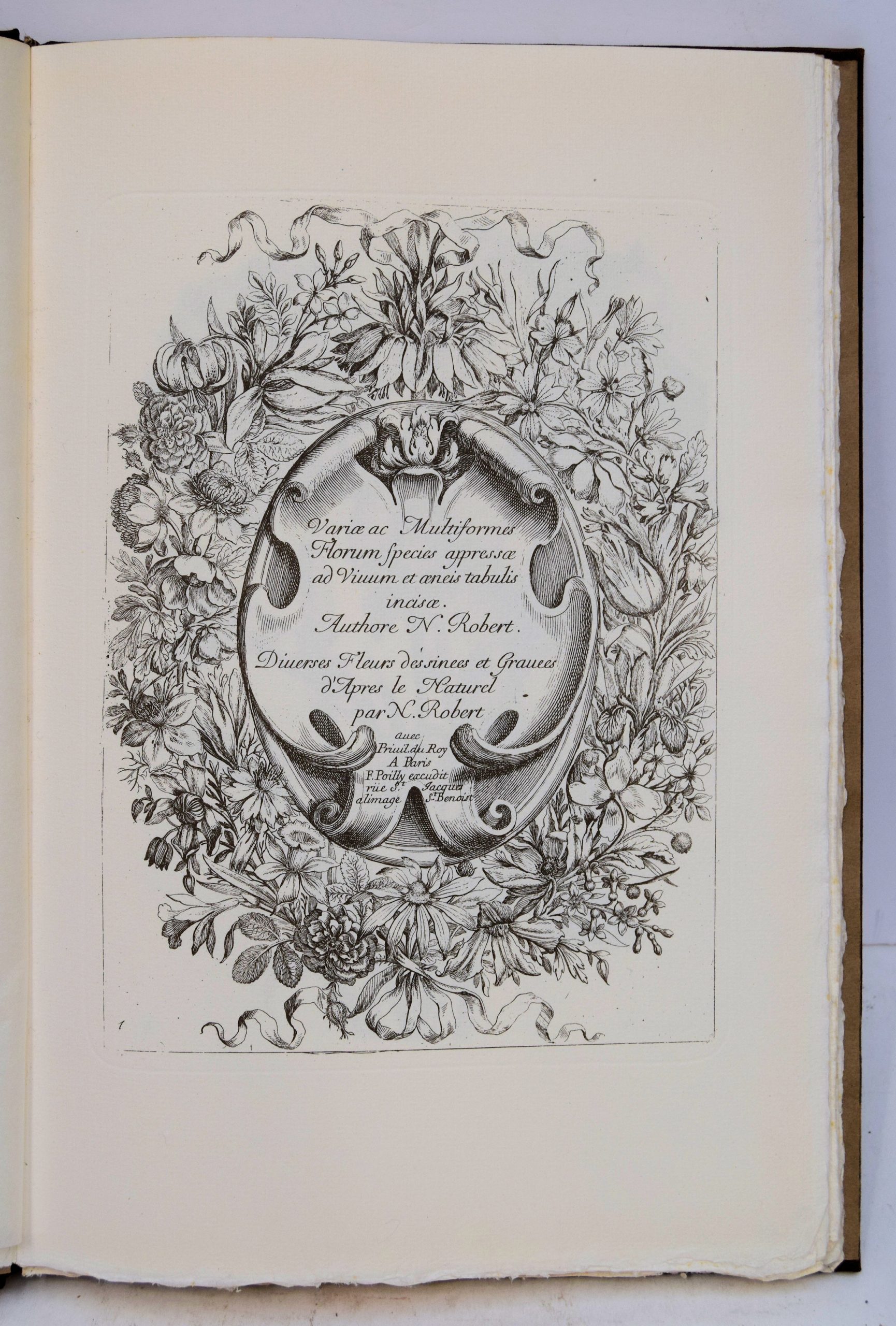 VARI? AC MULTIFORMES FLORUM SPECIES APPRESS? AD VIUUM ET ?NIS TABULIS INCIS?. AUCTORE N. ROBERT. / DIUERSES FLEURS D?SINNEES ET GRAUEES D' APRES LE NATUREL PAR N. ROBERT. - Image 2