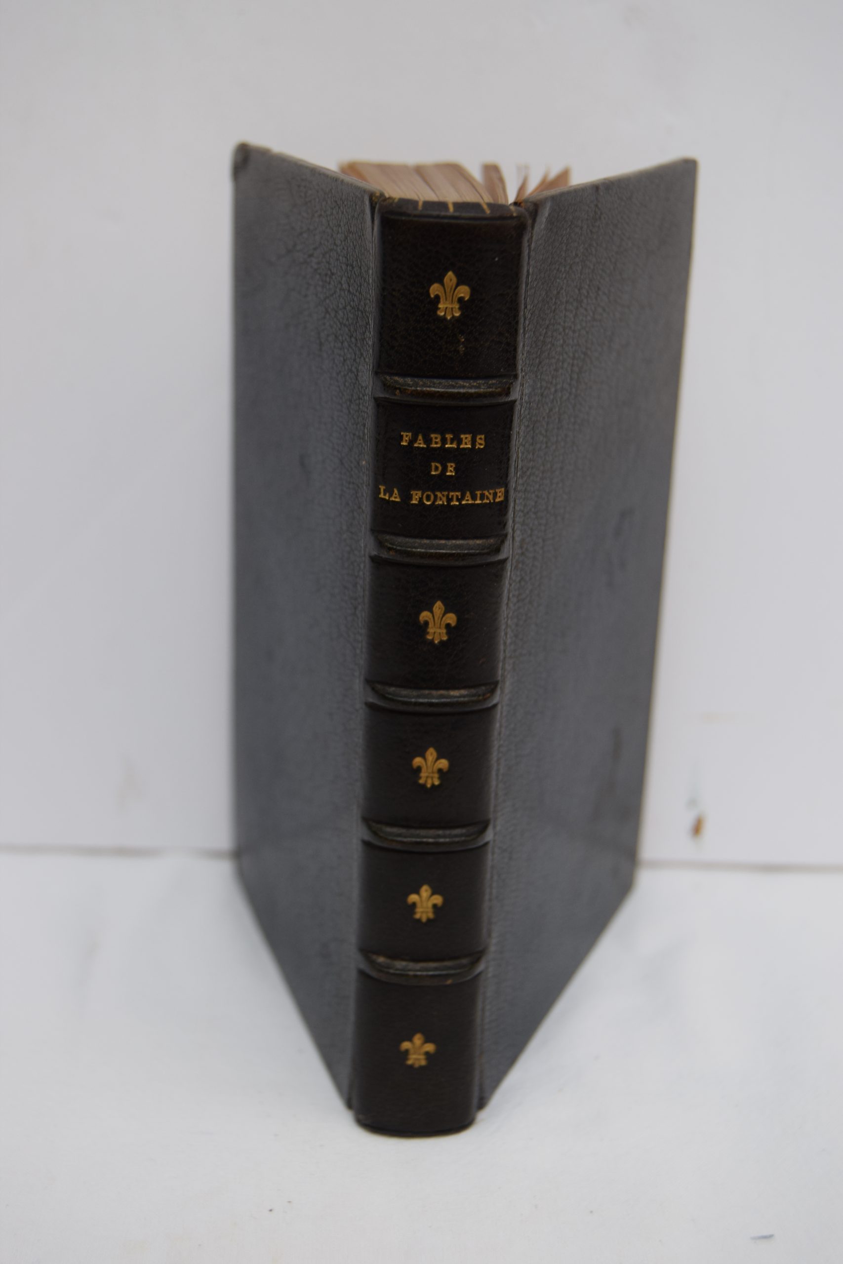 FABLES DE LA FONTAINE.