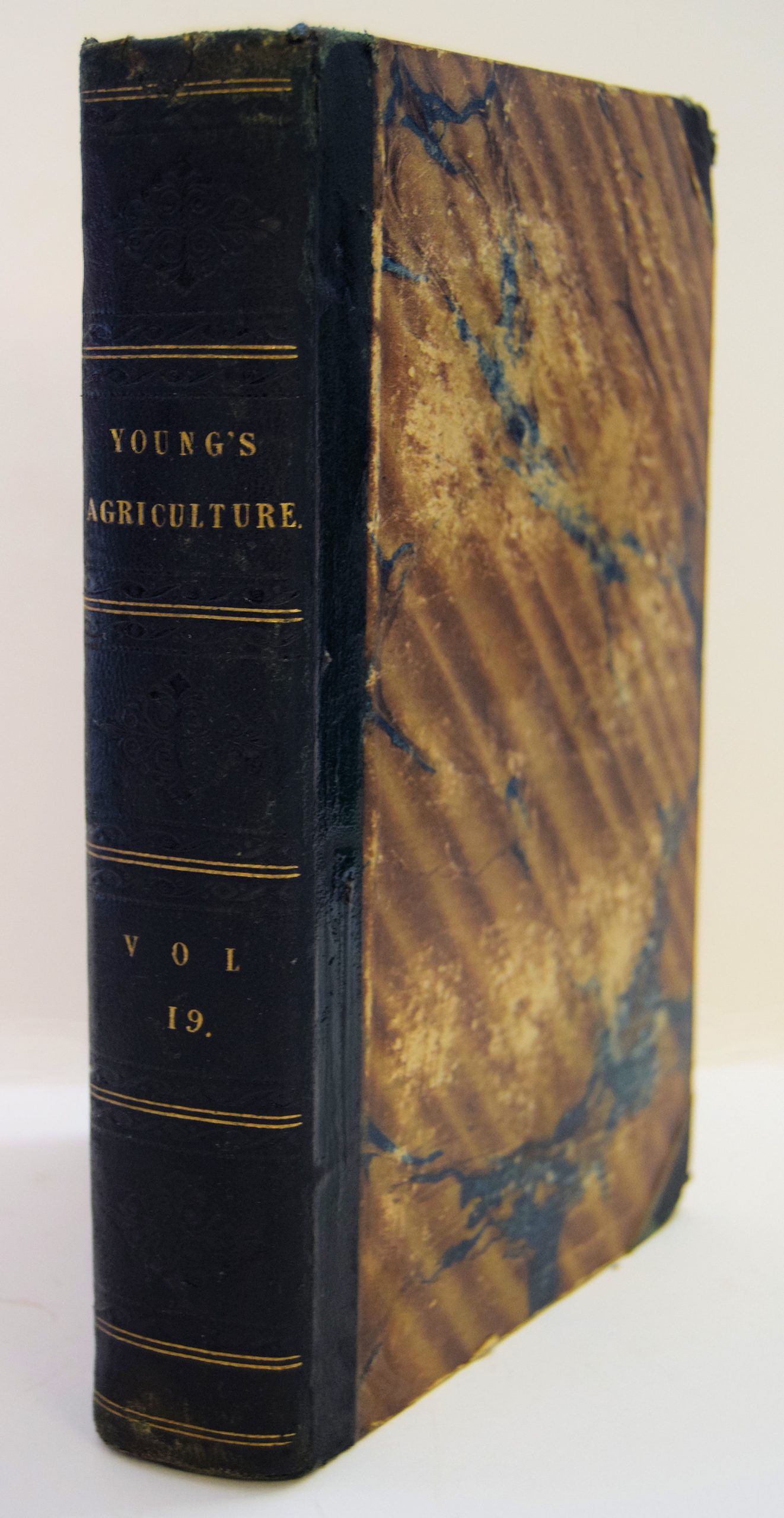 ANNALS OF AGRICULTURE. VOL. XIX.
