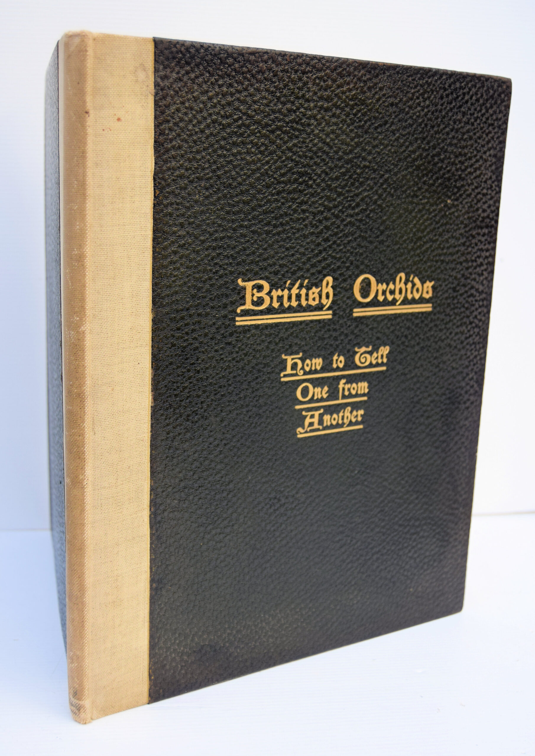 BRITISH ORCHIDS.