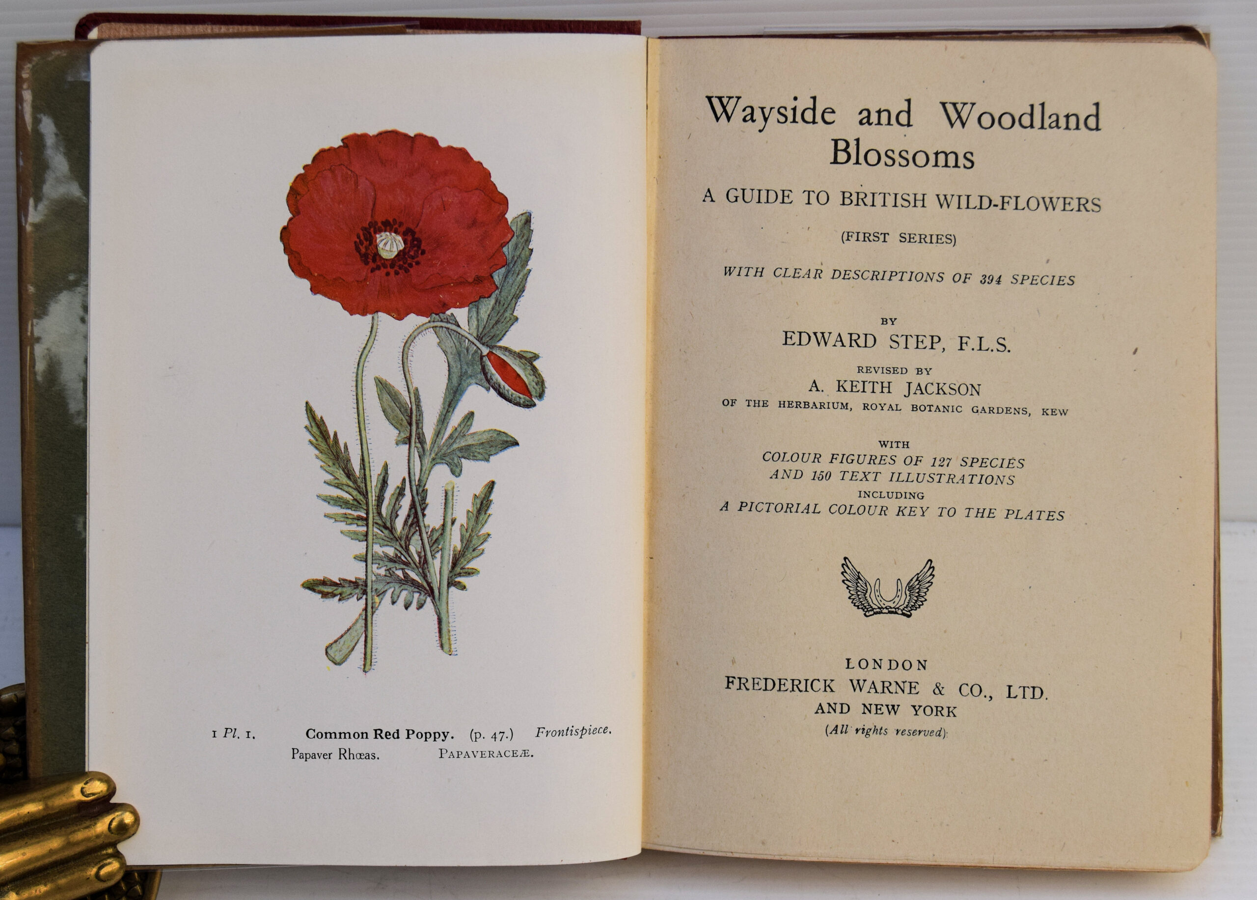 WAYSIDE AND WOODLAND BLOSSOMS. - Image 2