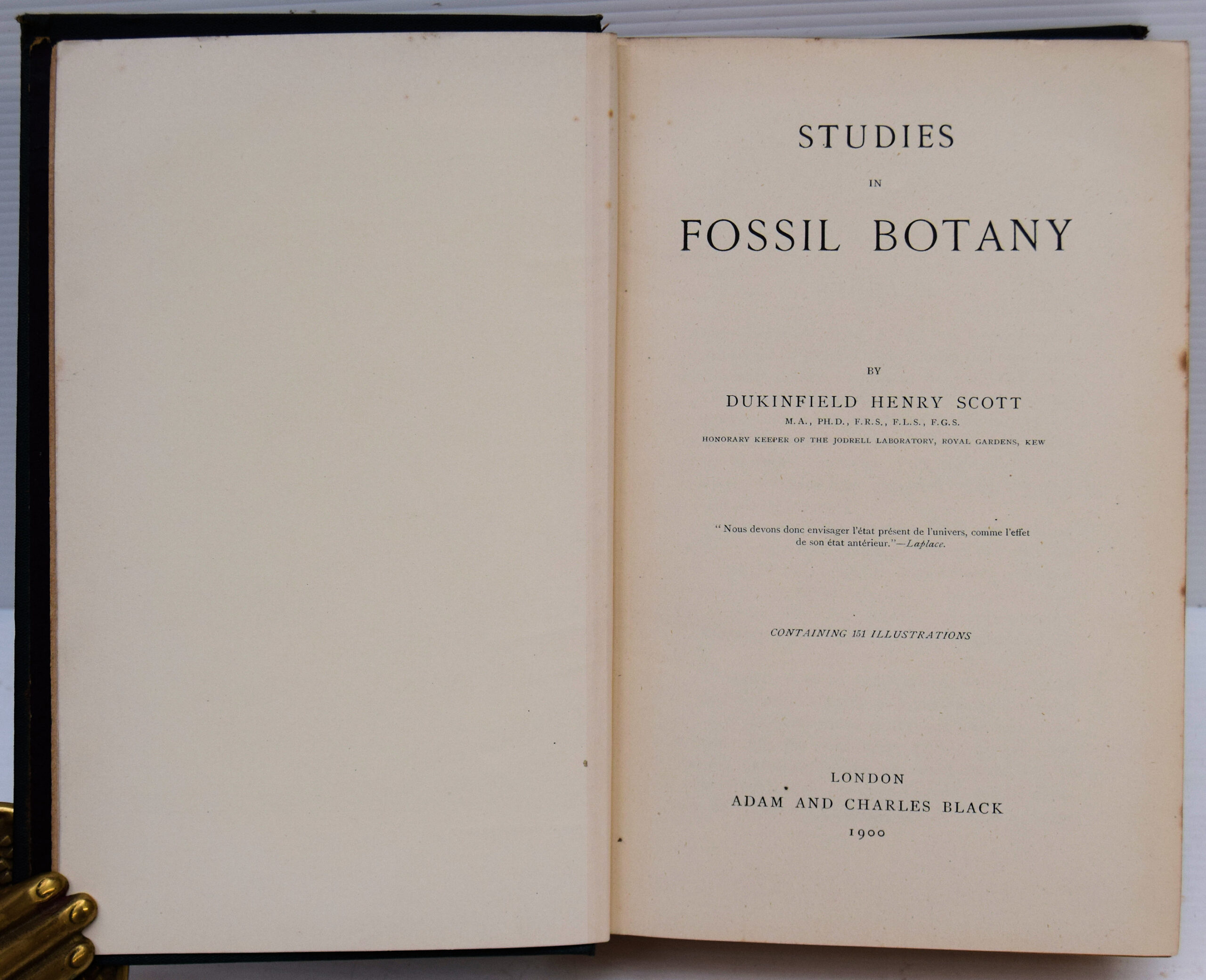 STUDIES IN FOSSIL BOTANY. - Image 2
