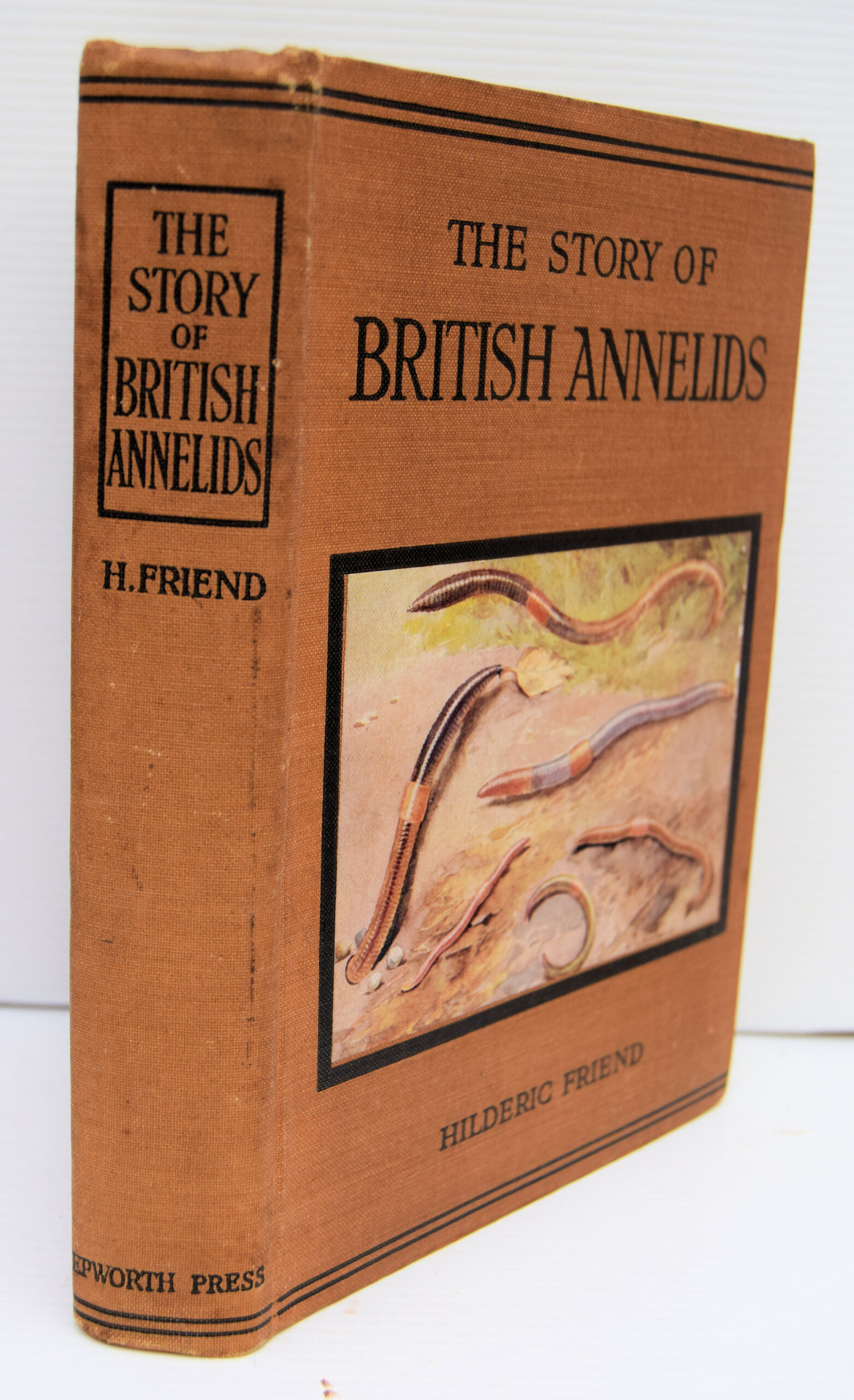 THE STORY OF THE BRITISH ANNELIDS