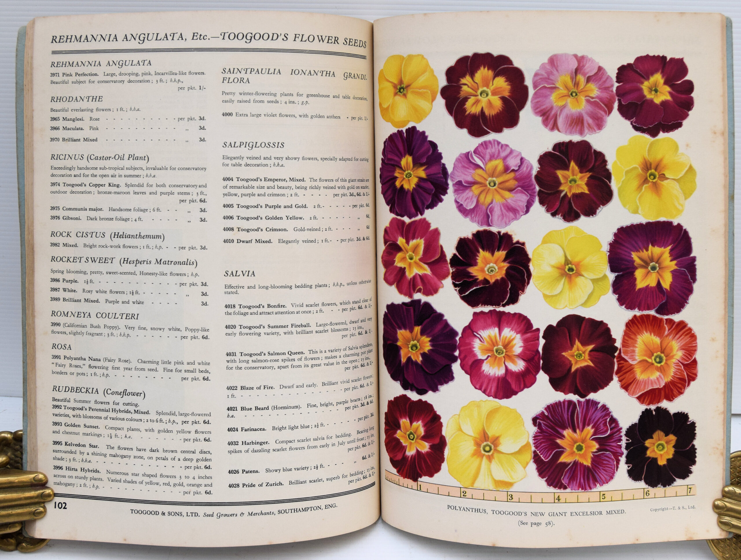 TOOGOOD'S GARDENERS' ANNUAL AND HORTICULTURAL GUIDE FOR 1939. - Image 4