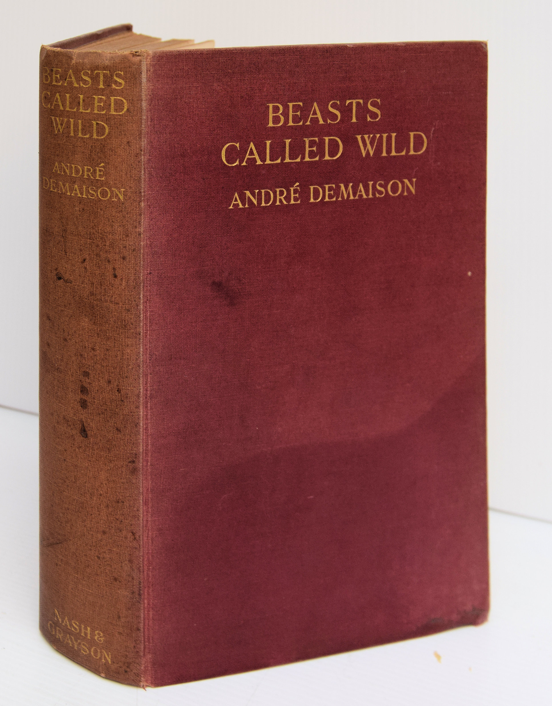 BEASTS CALLED WILD. - Image 3