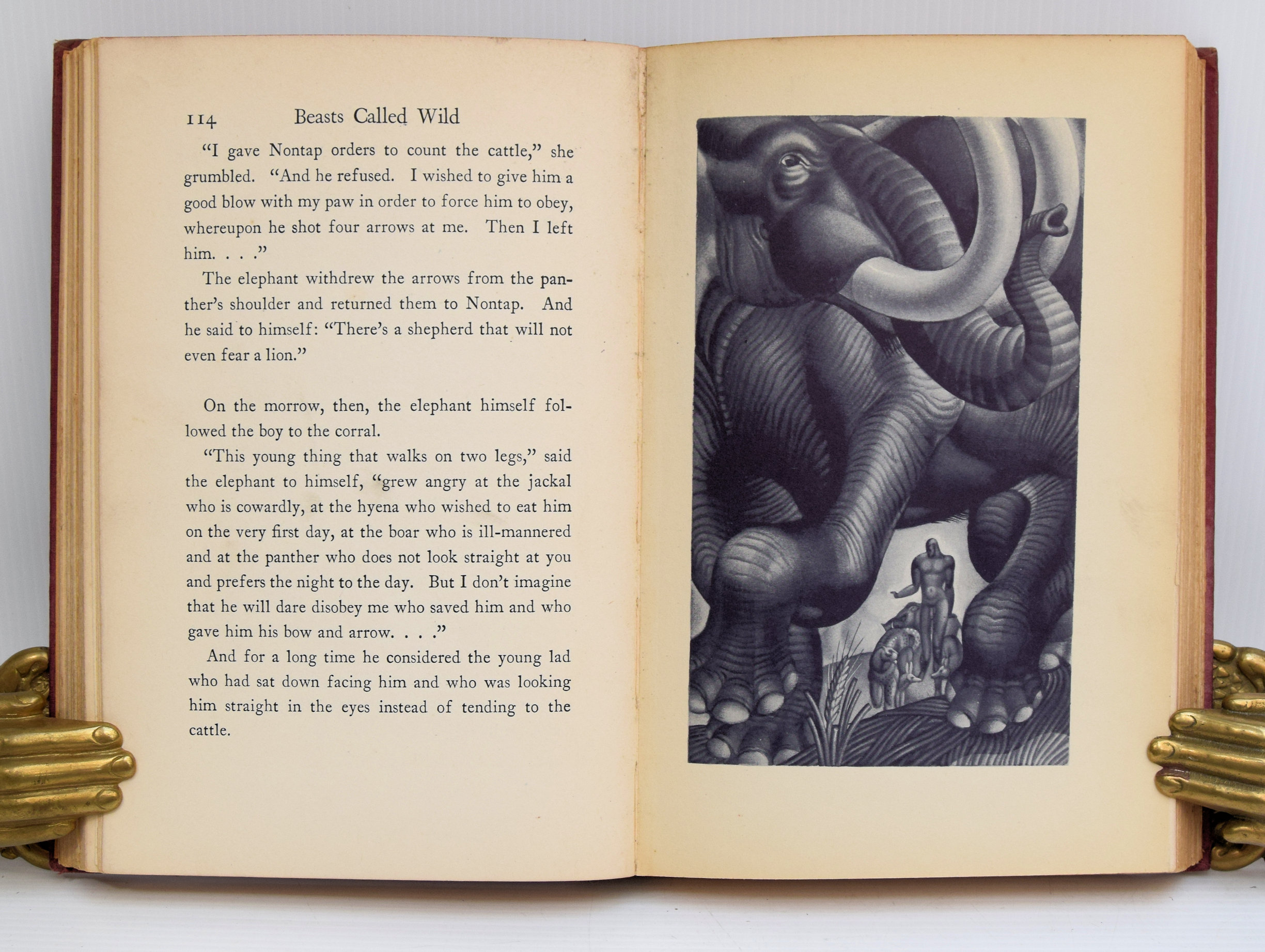 BEASTS CALLED WILD. - Image 4