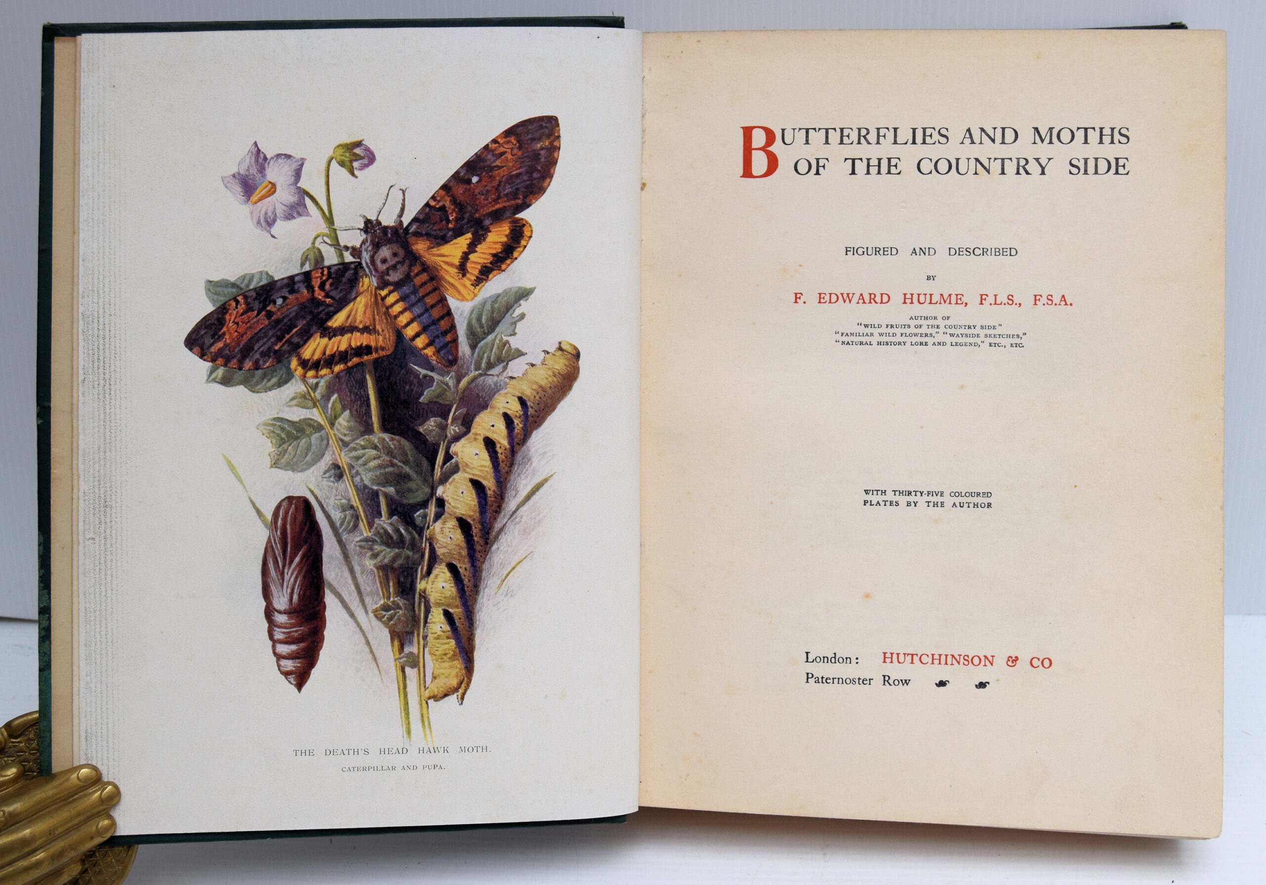 BUTTERFLIES AND MOTHS OF THE COUNTRYSIDE. - Image 2