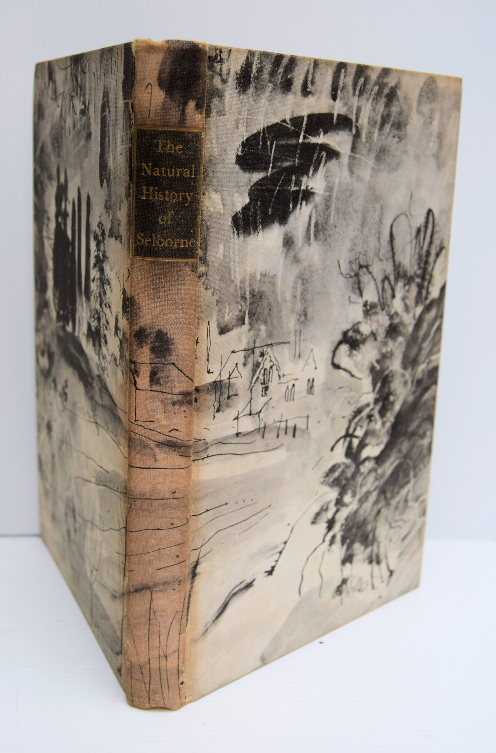 THE NATURAL HISTORY OF SELBORNE.