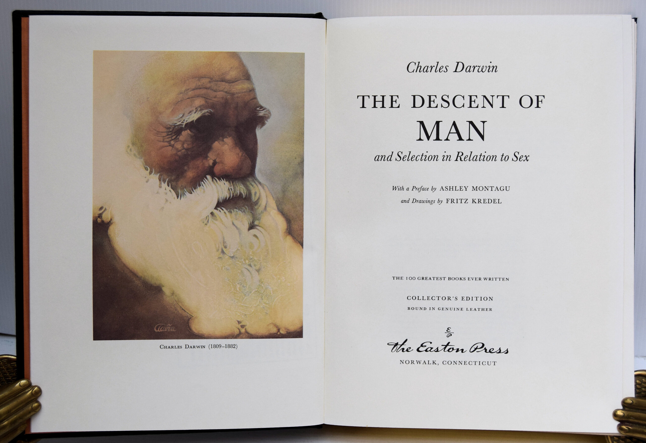 THE DESCENT OF MAN, AND SELECTION IN RELATION TO SEX. - Image 2