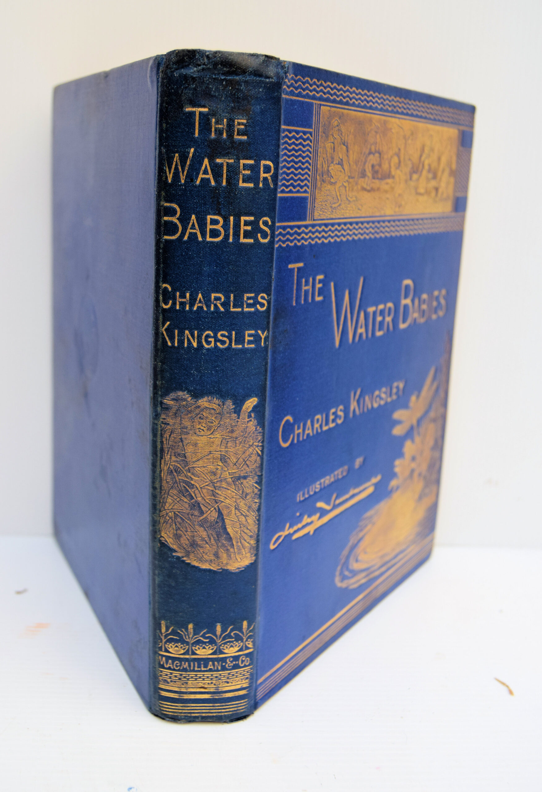 THE WATER-BABIES.