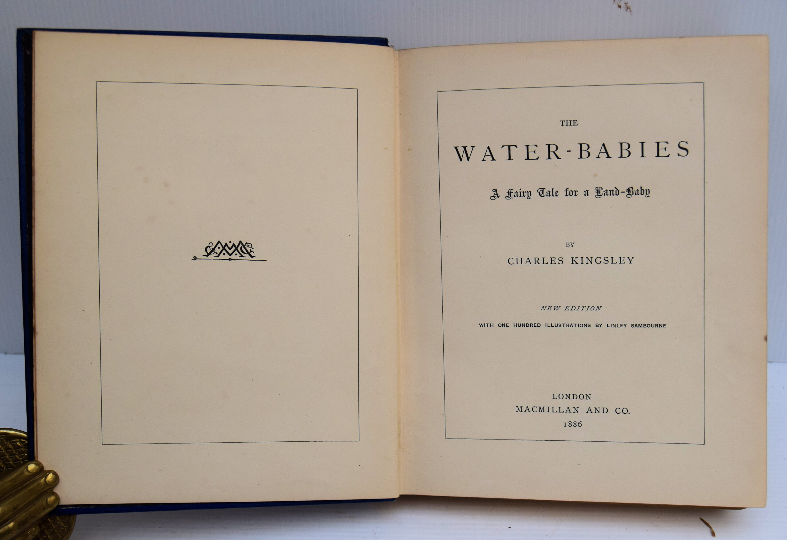 THE WATER-BABIES. - Image 2