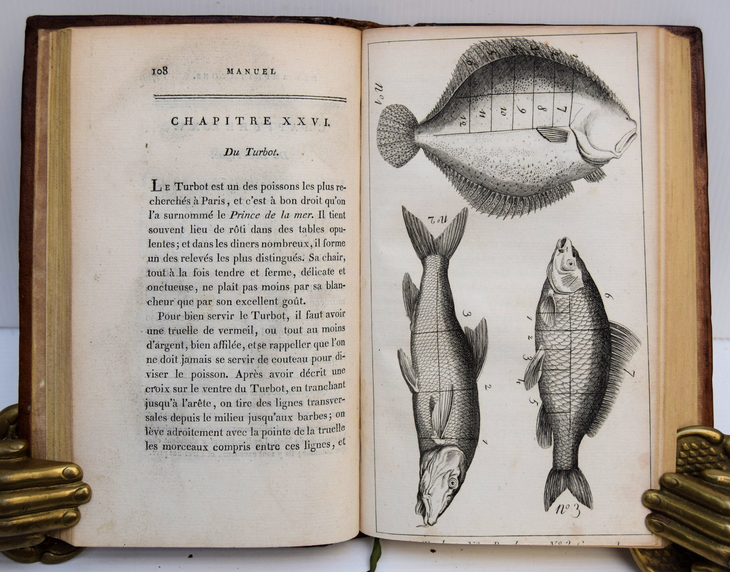MANUEL DES AMPHITRYONS. - Image 5