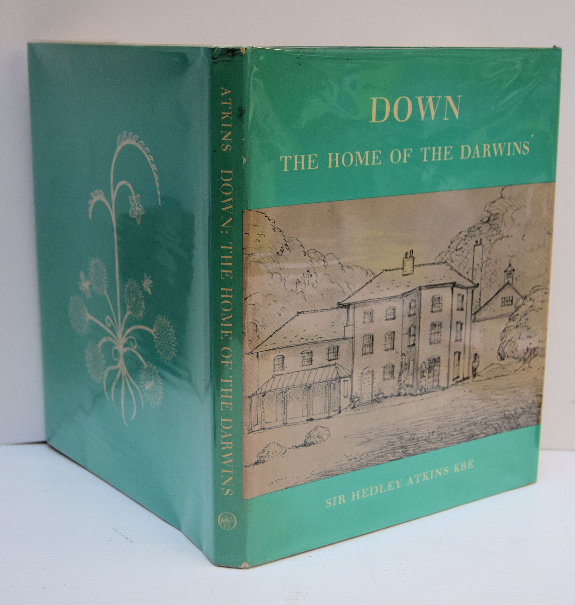 DOWN THE HOME OF THE DARWINS.