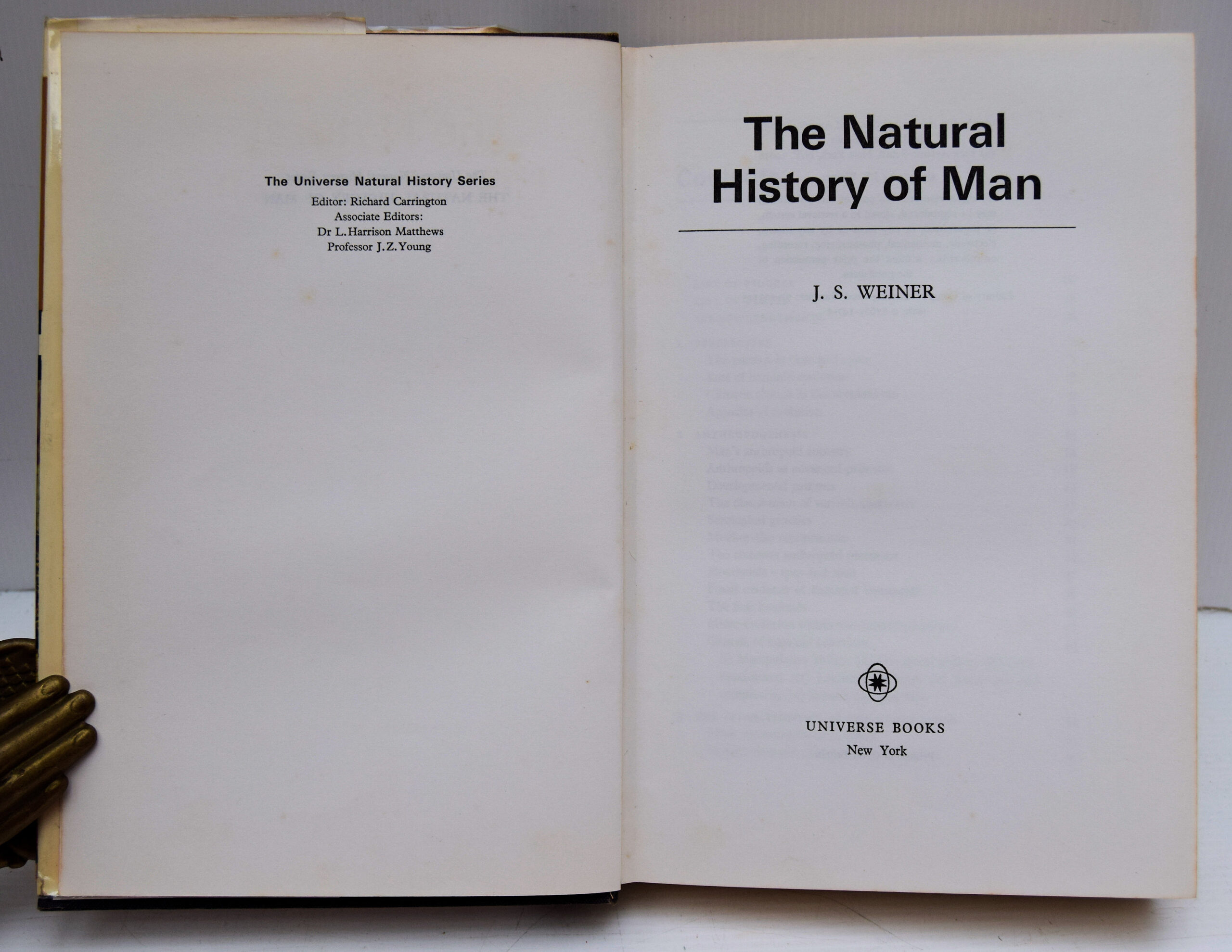 THE NATURAL HISTORY OF MAN. - Image 2