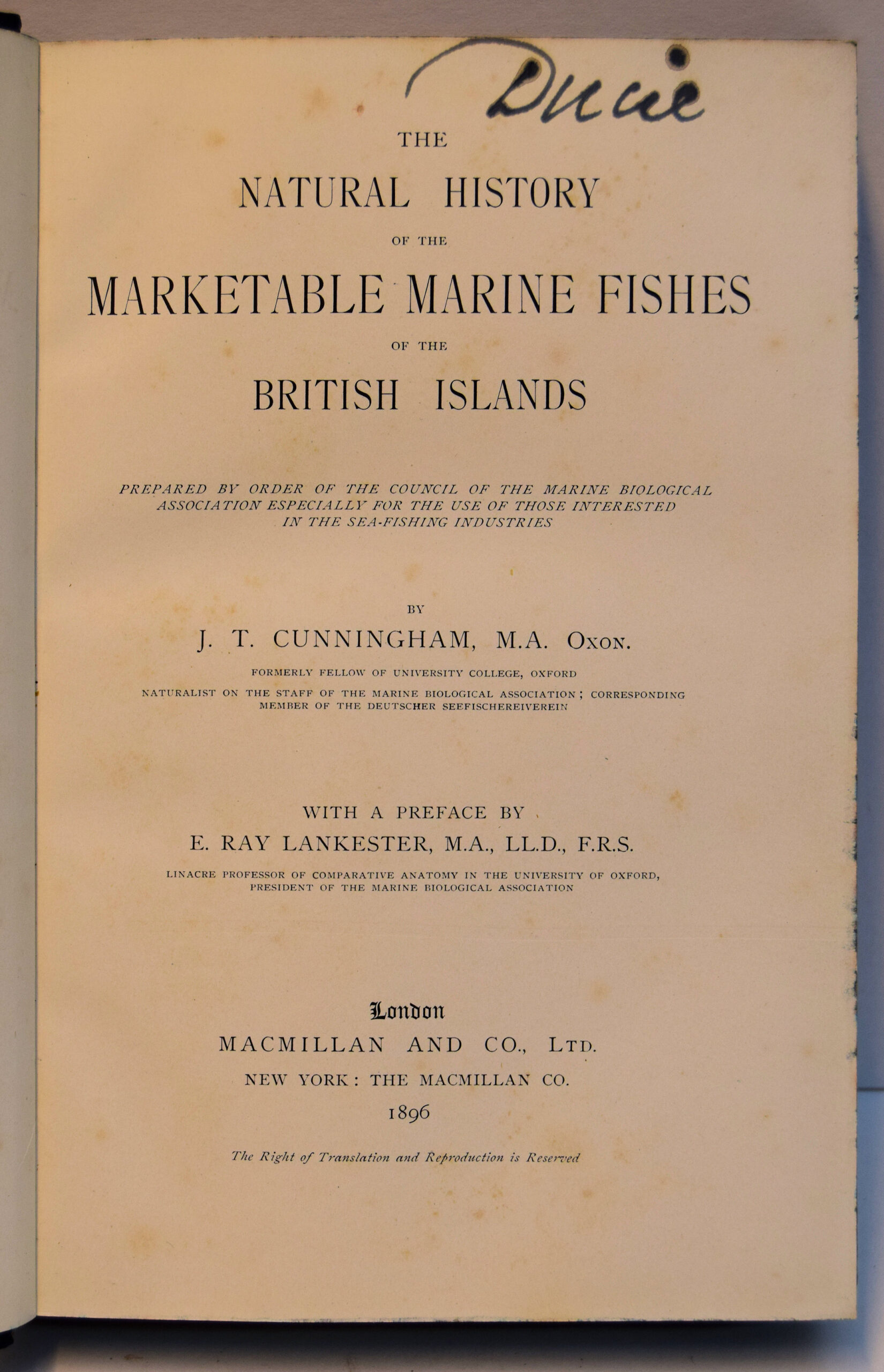 THE NATURAL HISTORY OF THE MARKETABLE MARINE FISHES OF THE BRITISH ISLANDS. - Image 2
