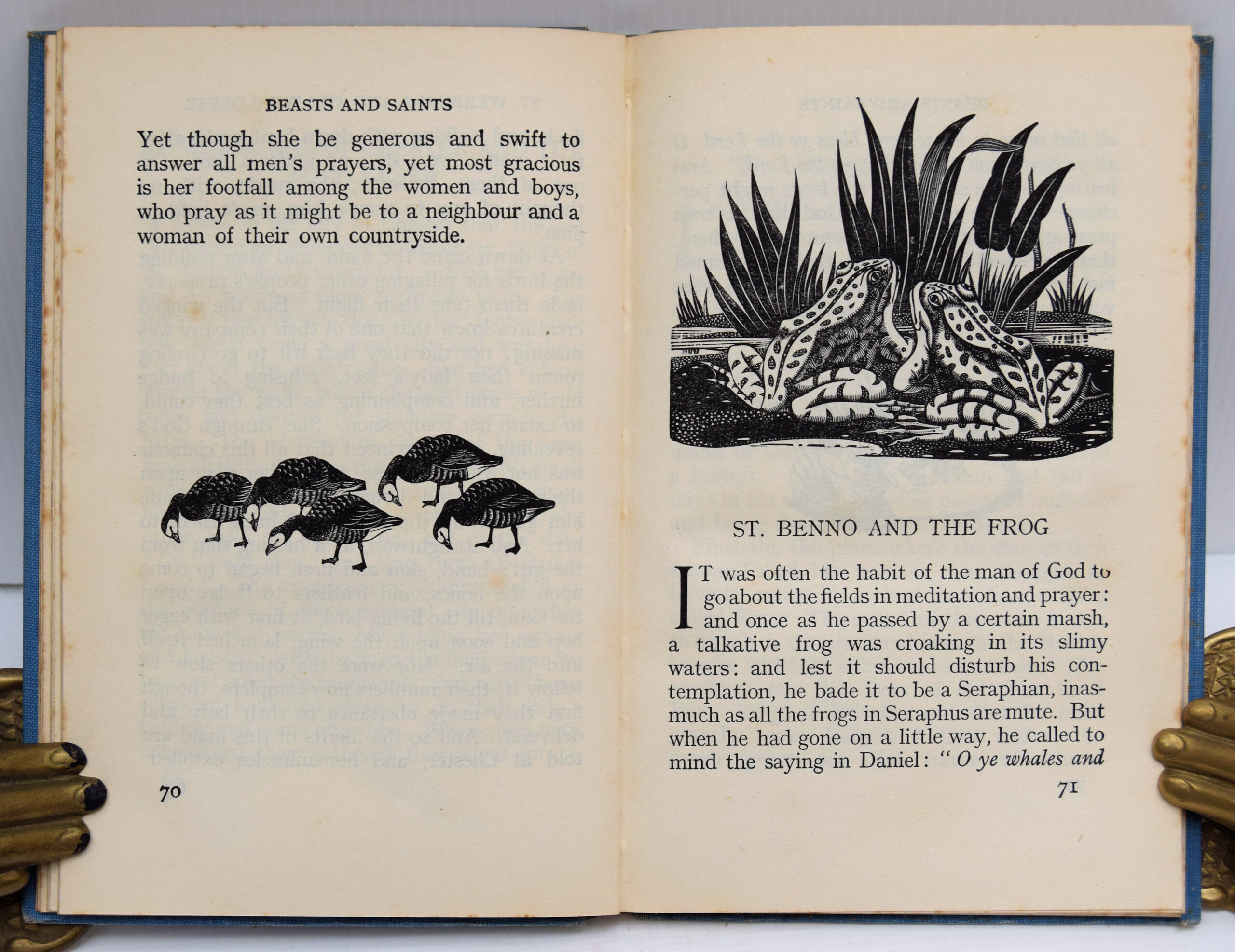 Beasts and Saints. - Image 3
