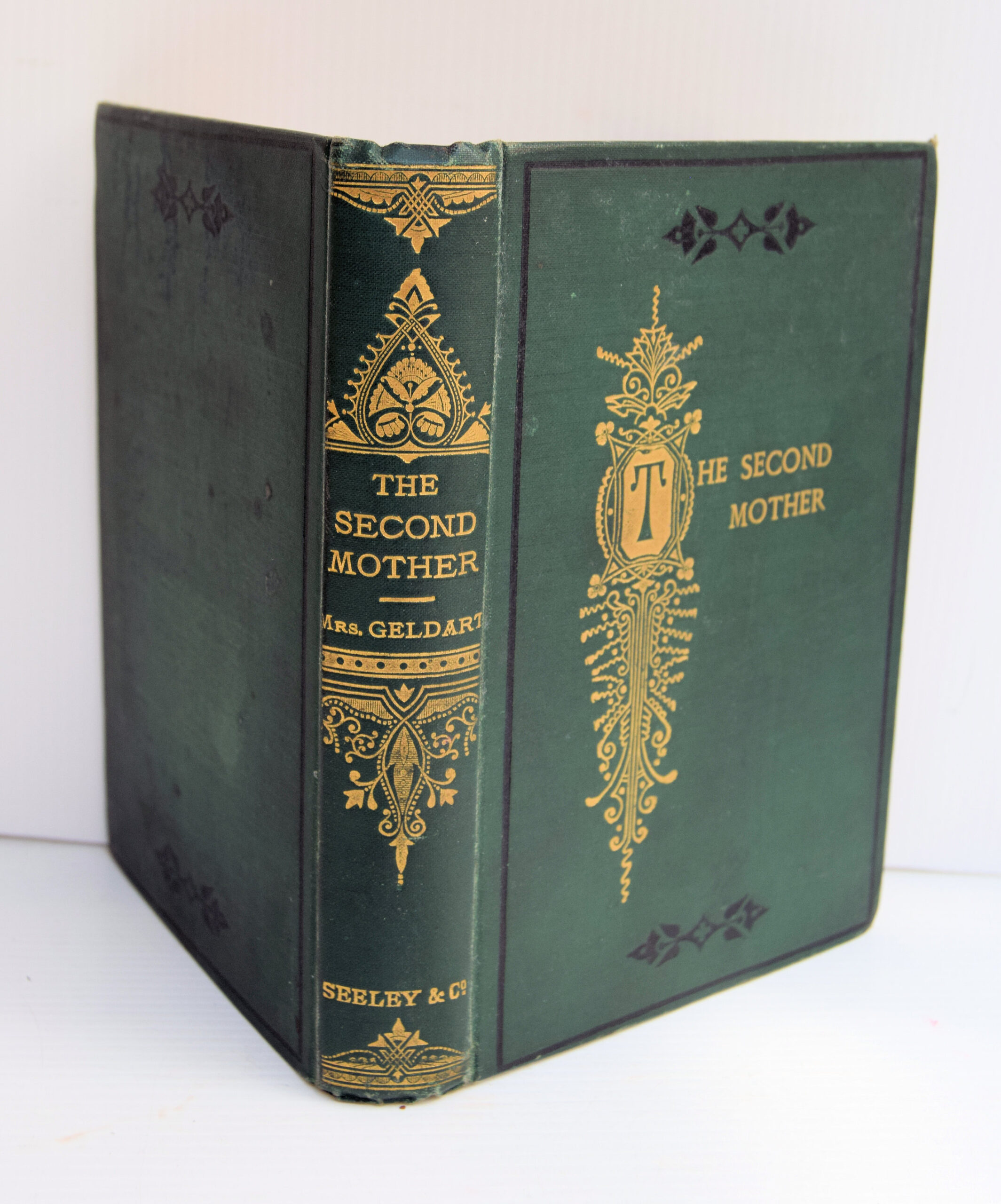 THE SECOND MOTHER: HER TRIALS AND JOYS.