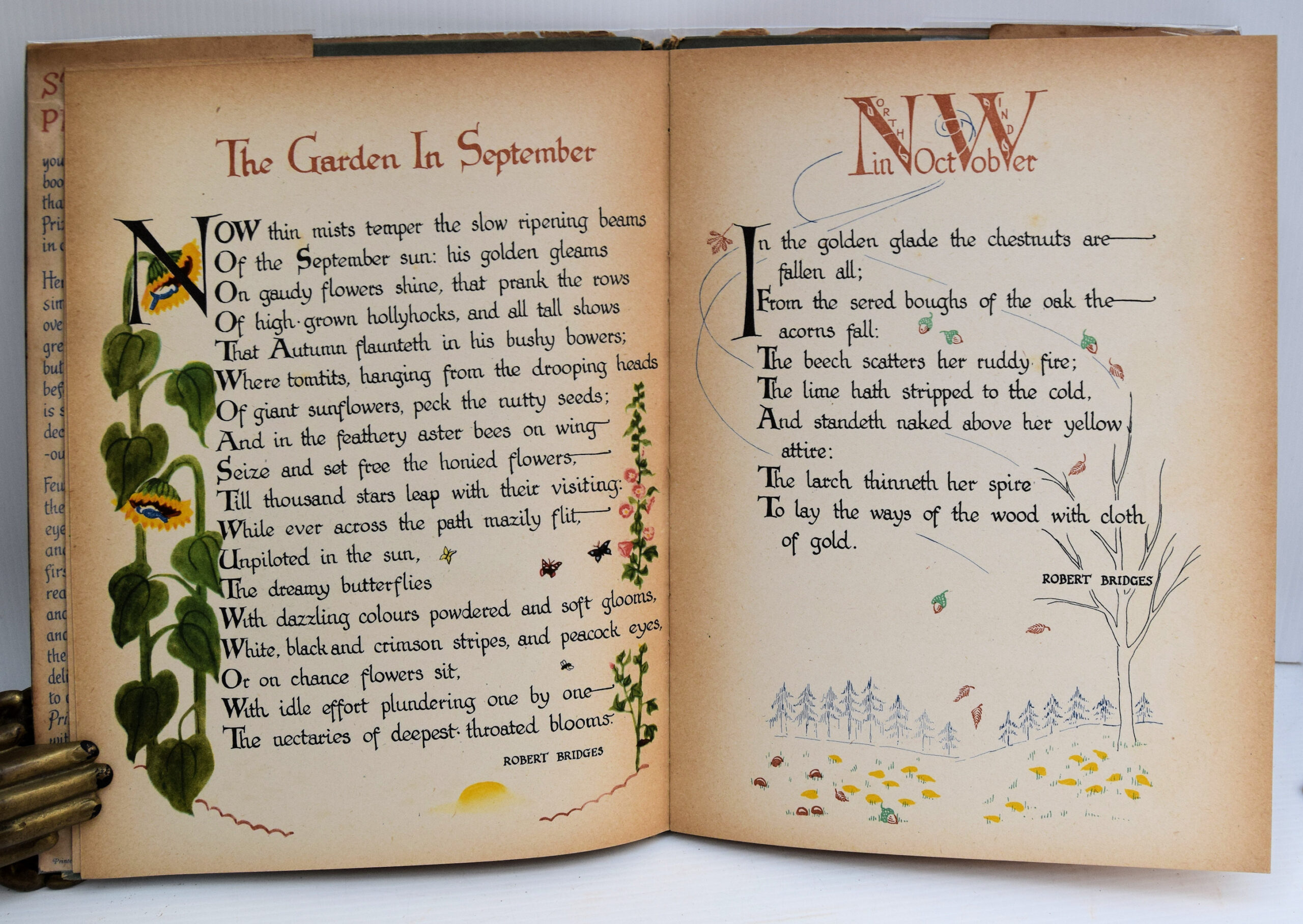 STARS AND PRIMROSES AN ANTHOLOGY LETTERED AND ILLUMINATED FOR CHILDREN. - Image 3