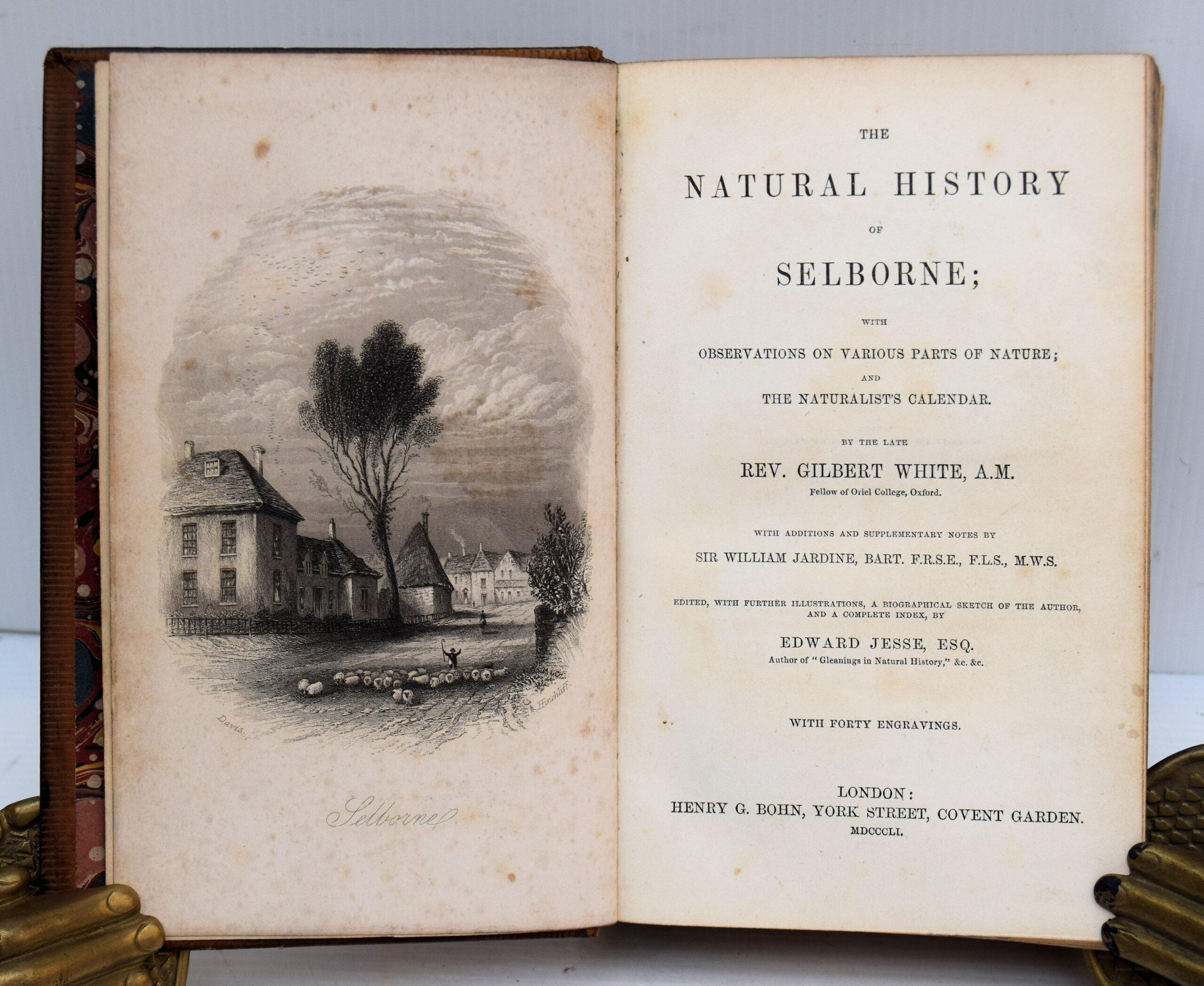 THE NATURAL HISTORY OF SELBORNE. - Image 2