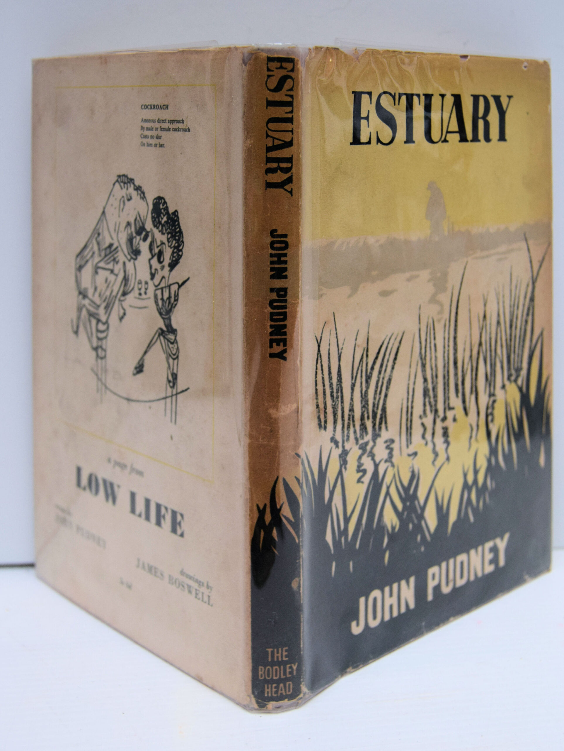 ESTUARY