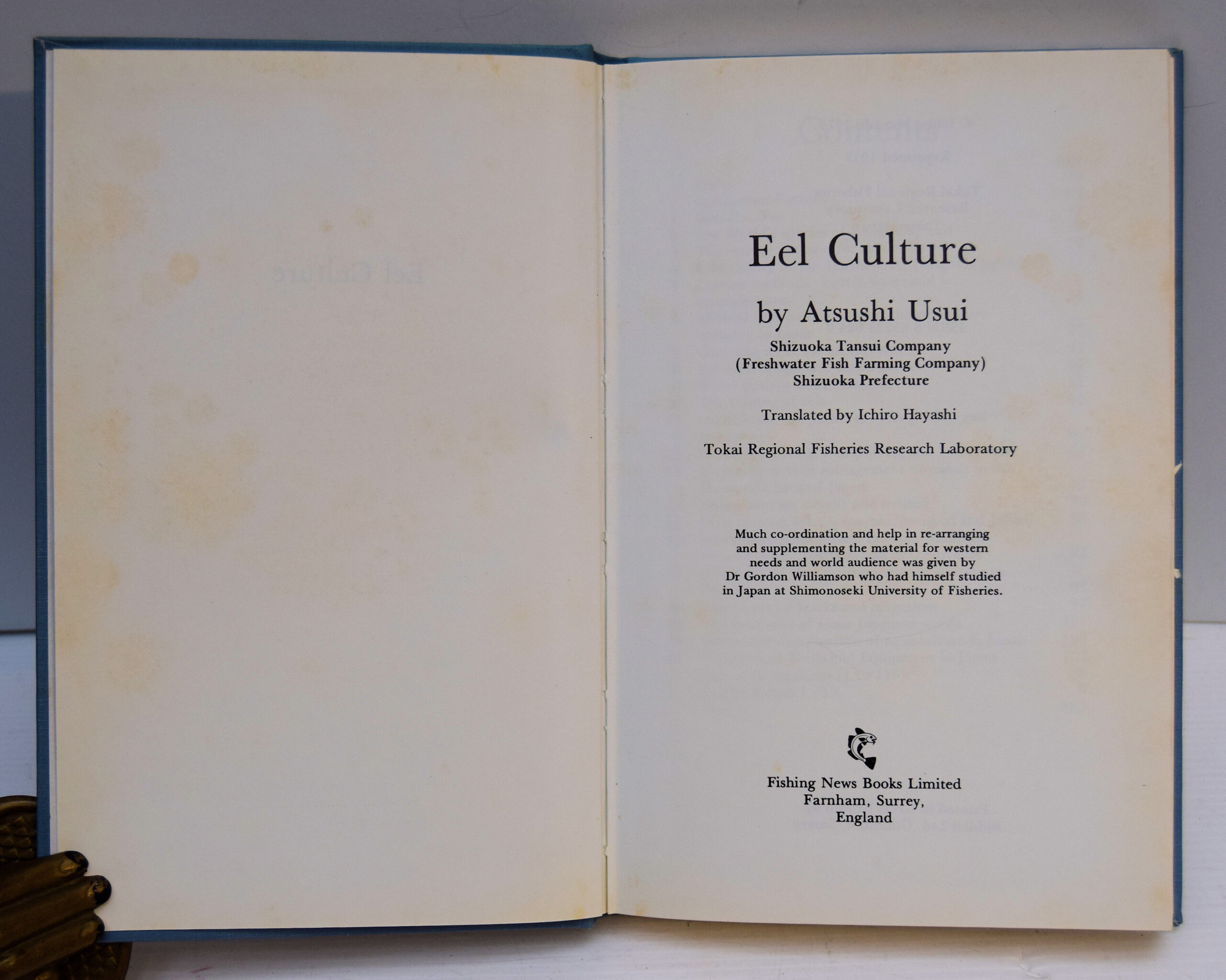 EEL CULTURE. - Image 2