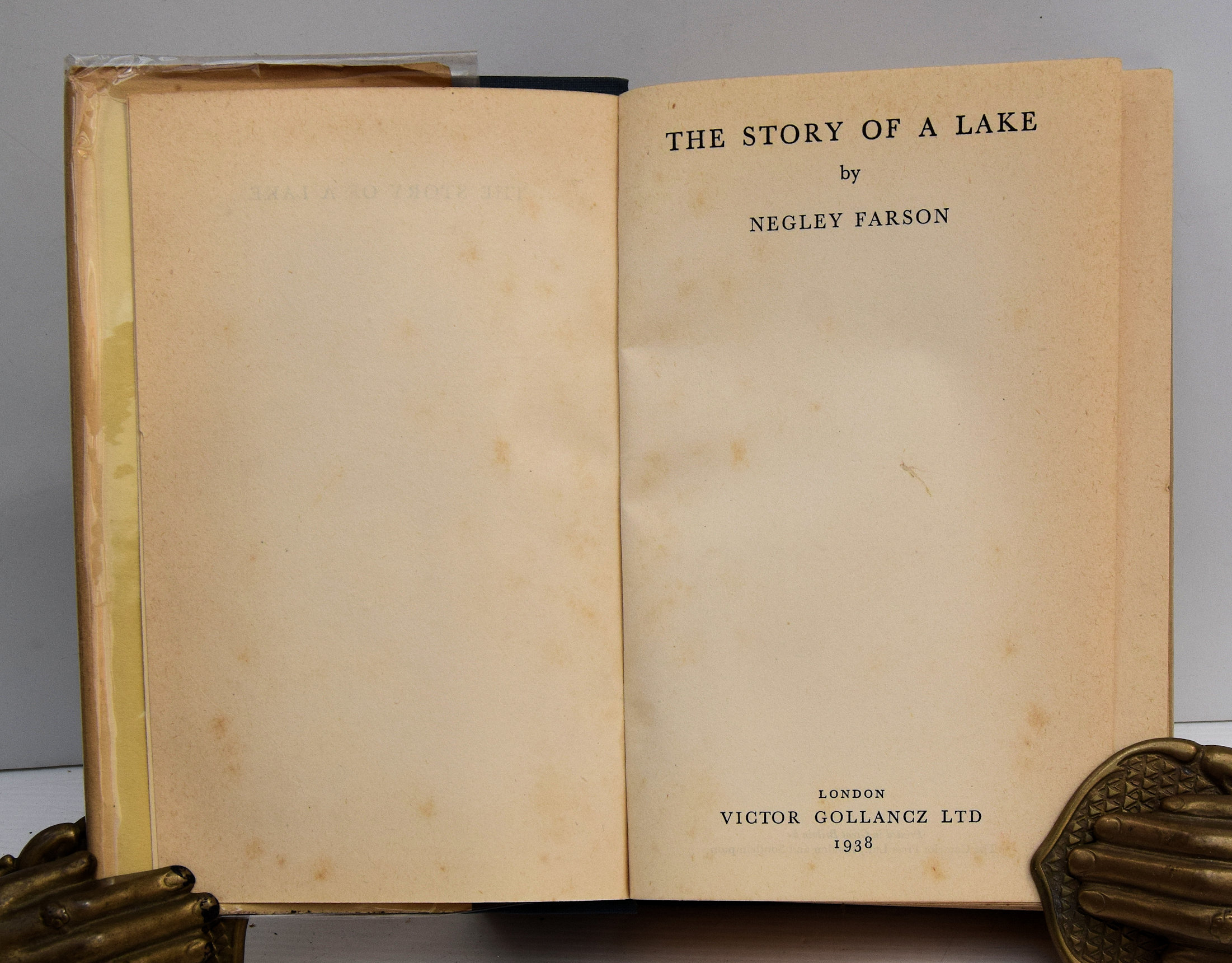 THE STORY OF A LAKE. - Image 3